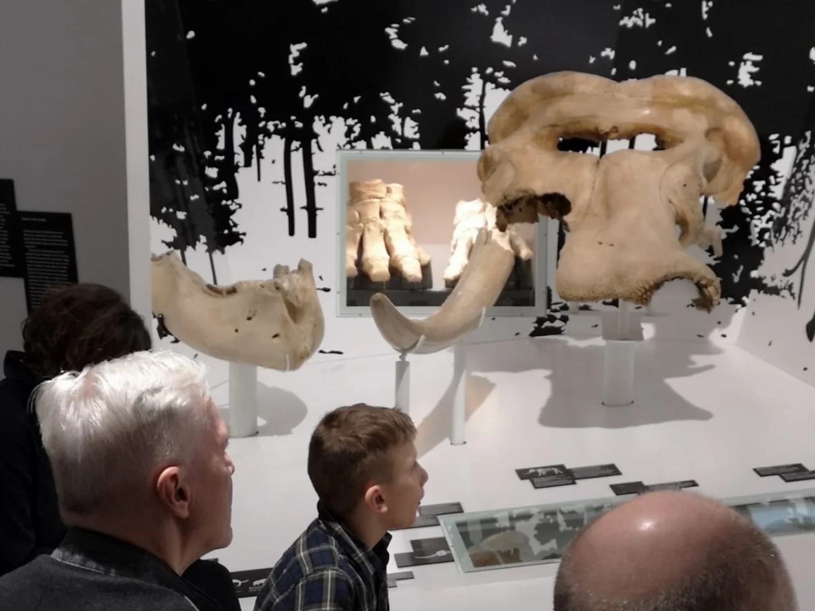Drei Generationen im Museum