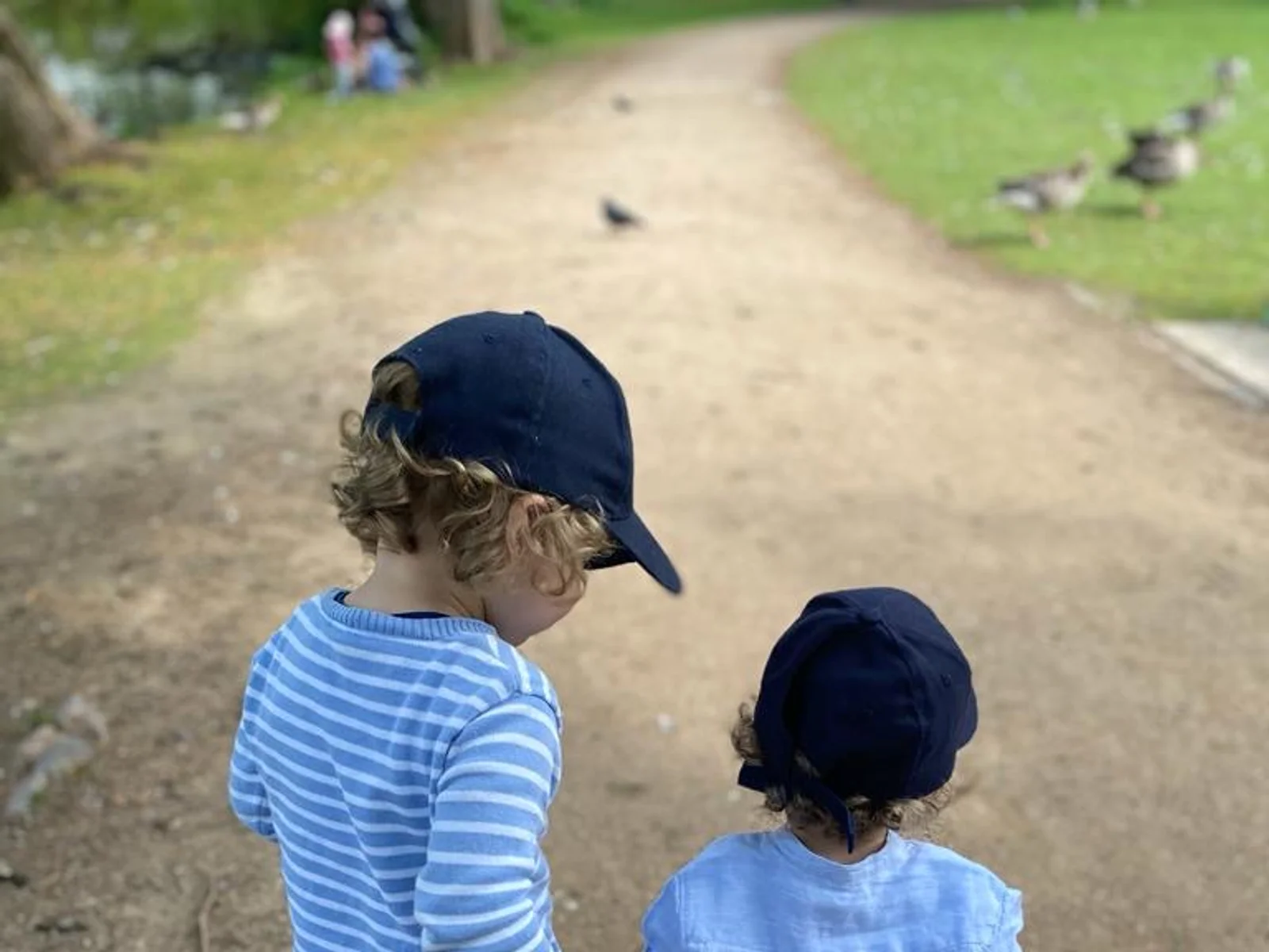 Jenischpark – Spielplatz zwischen alten Bäumen